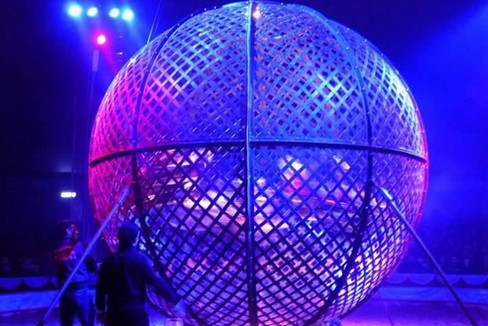 mfront circo