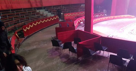 acquaticoallagato