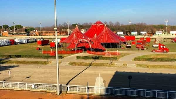 Circo di Vienna