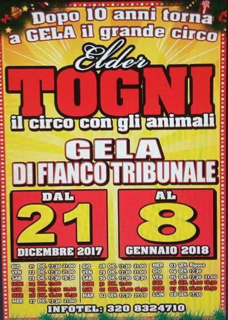 eldertogni