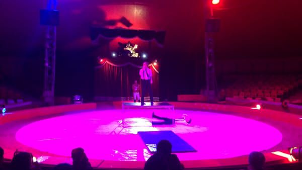 circo vienna interno 2