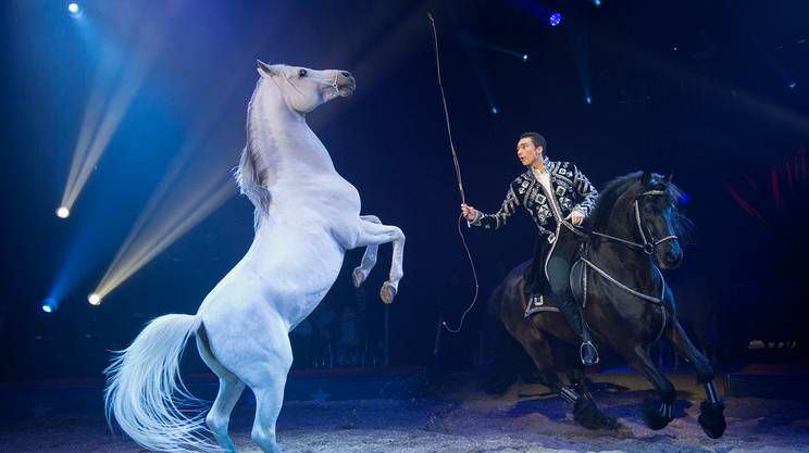 Il circo svizzero questanno presenta la sua centesima tourne