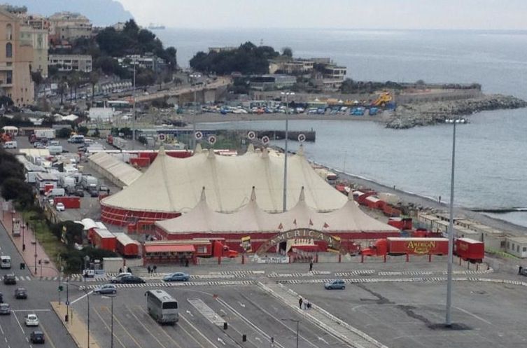 american circus