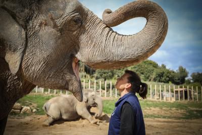 SAS Stephanie con Elefante F.Nebinger