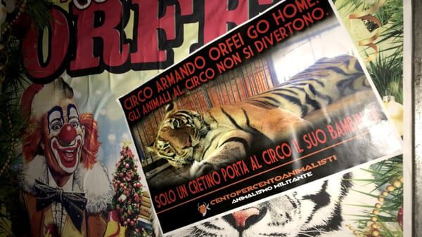 circo orfei centopercentoanimalisti copyright 2