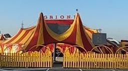 Grioni Grioni