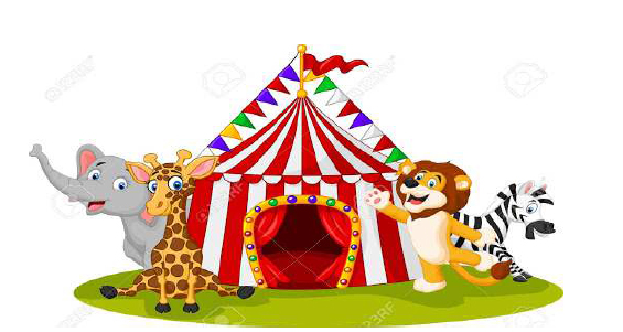 Circhi