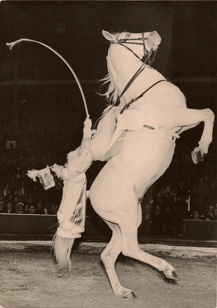 423px Paulina Schumann Bertram Mills 1960