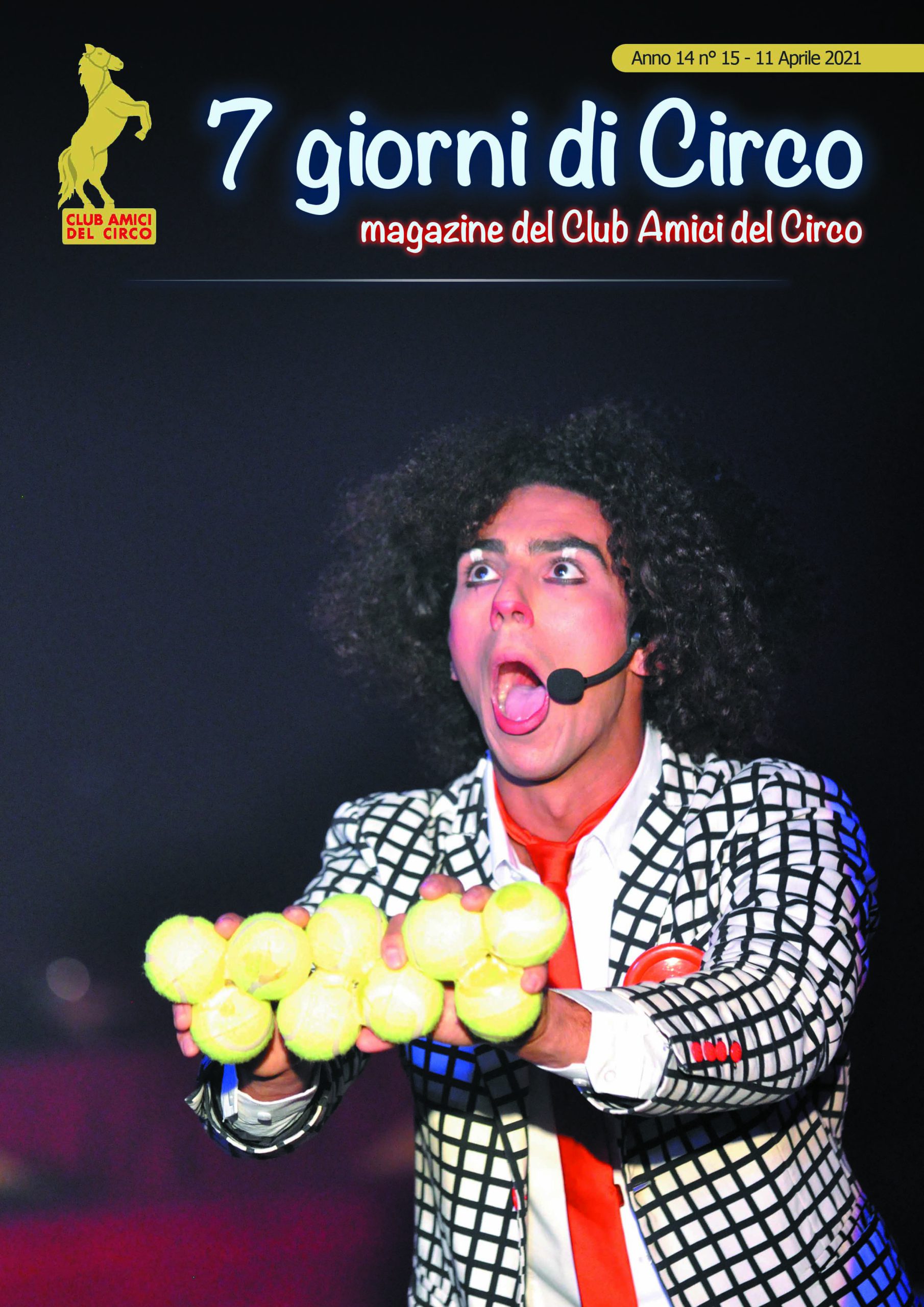 202115copertina