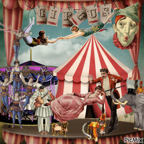 circus mmalena pixmix