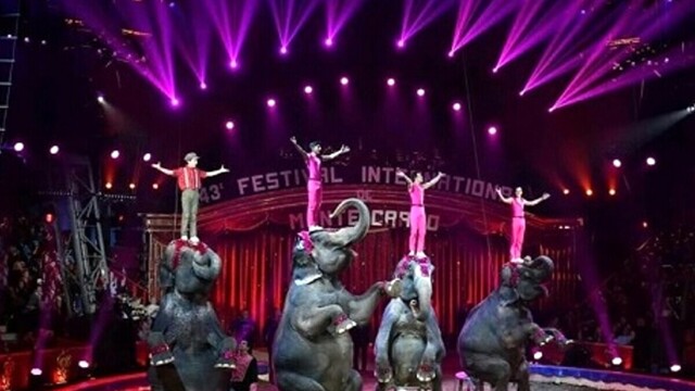 Circo Orfei elefanti 3