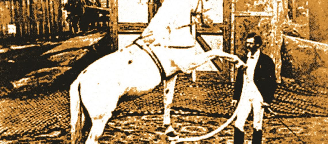 cultura circo chiarini foto La Cronica de Hoy pkzzhsihxkp0iovlwx3e62vot5ebz26p6hfrs6dz0o