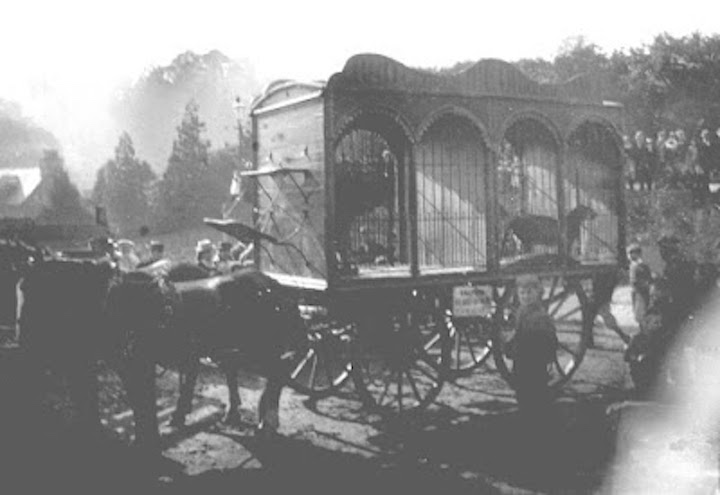 Travelling circus in 1856 Pic Victorian History