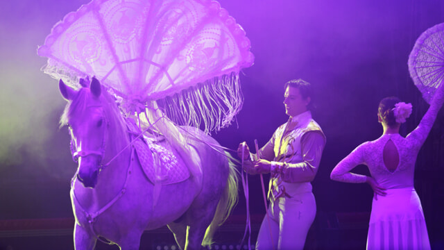 american circus presenta il regno del cavallo a san giovanni lupatoto