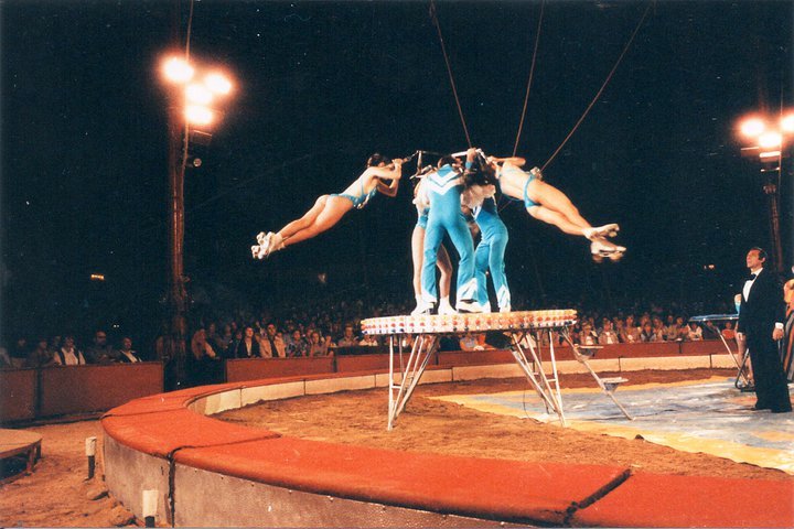 David5 1982