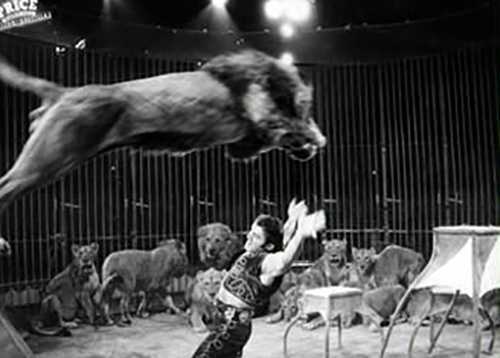 angelo alessandrini al circo price castilla in spagna circusfans 01