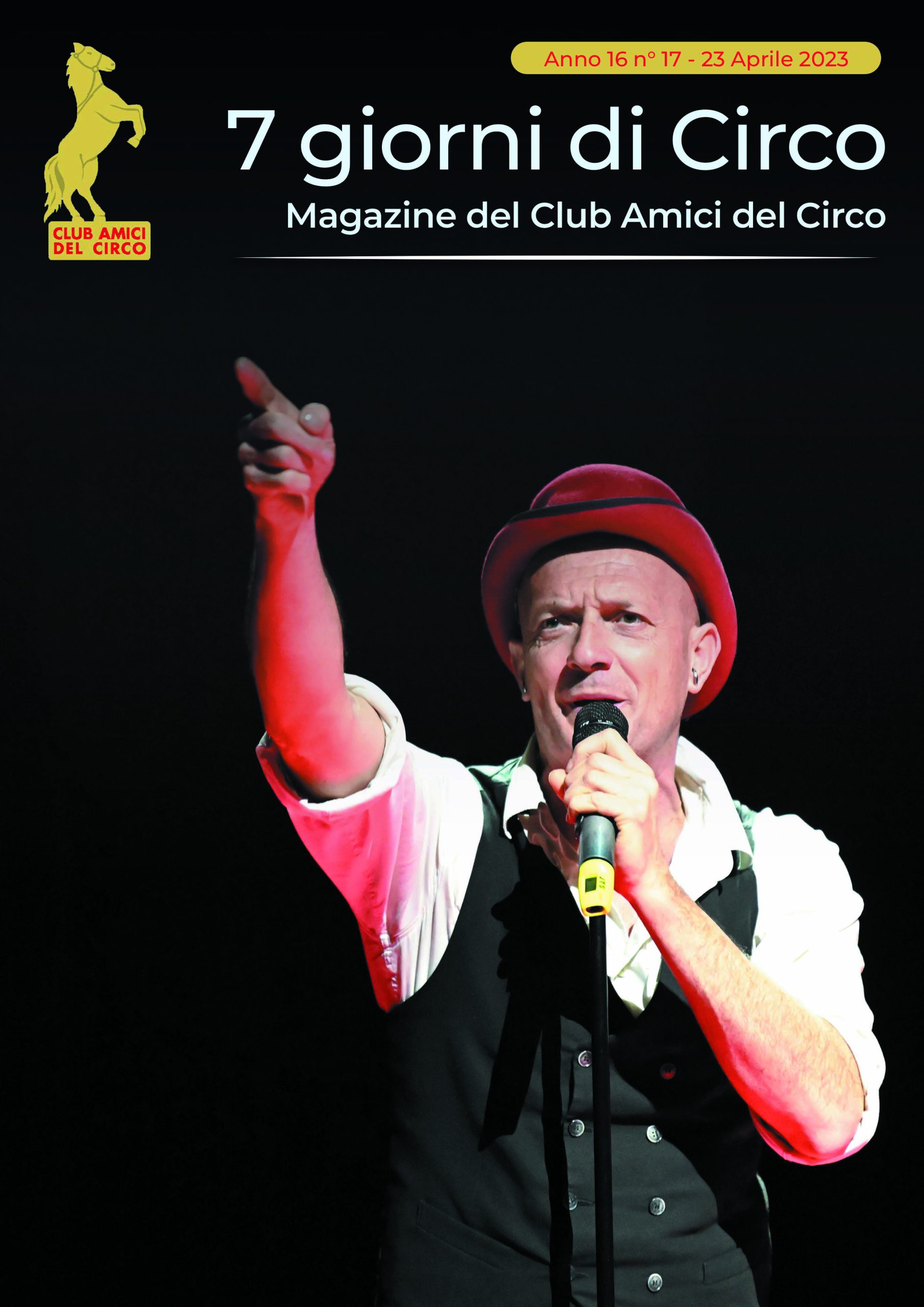 202317copertina rid