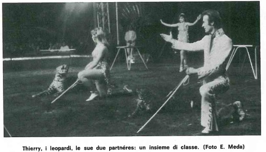 Thierry Leopardi