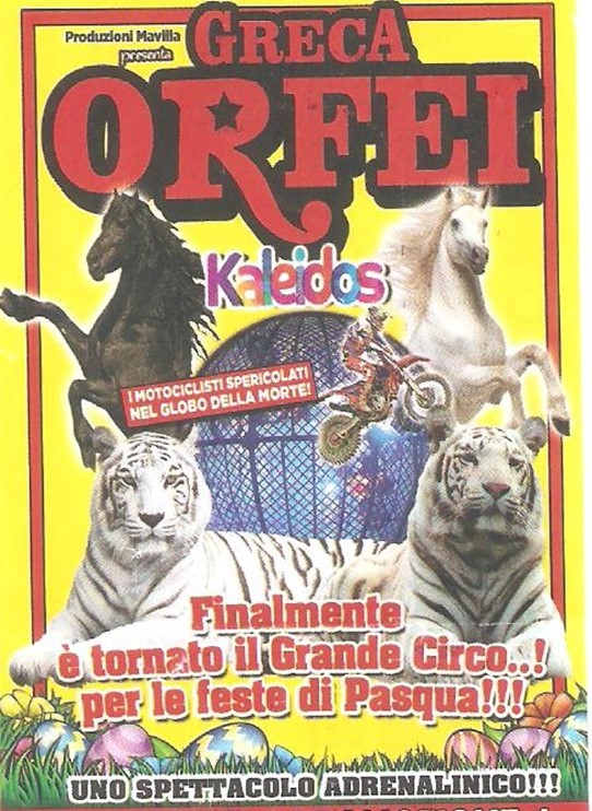 Immagine1